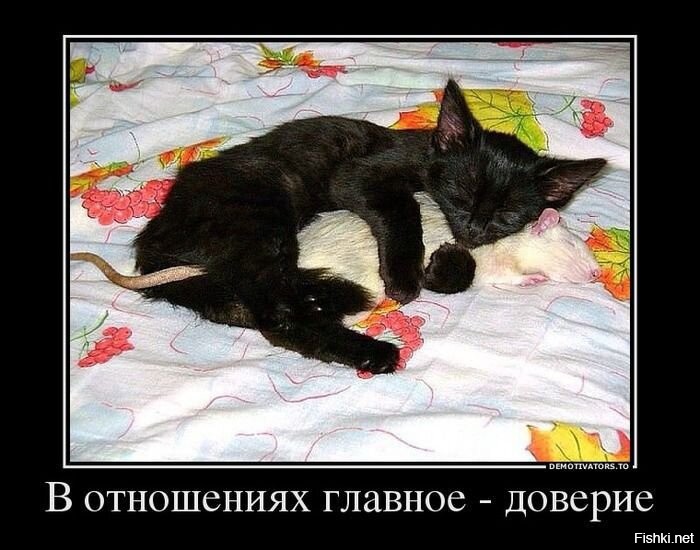 Солянка от 16.12.2021