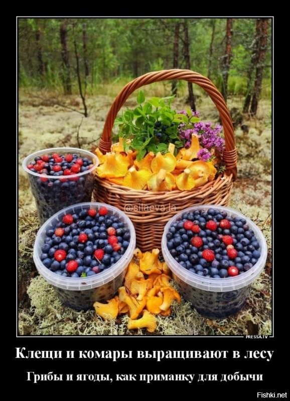 Солянка от 16.12.2021