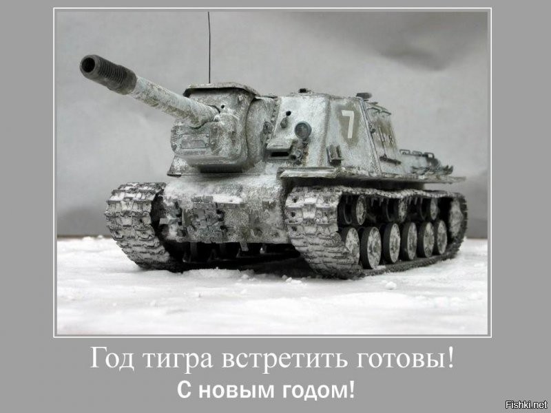 Ну тигра, так тигра!