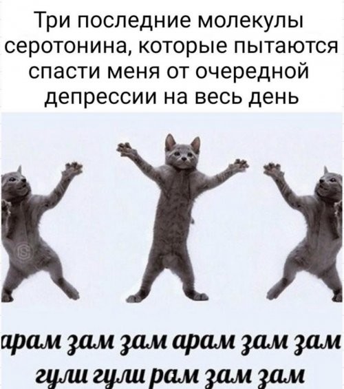 Солянка от 17.12.2021