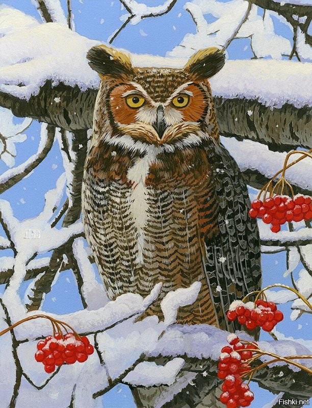 Солянка от 17.12.2021