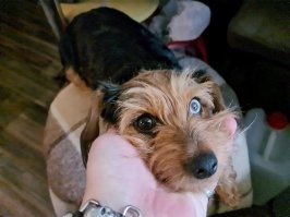 Вот мой самый любимый нос...