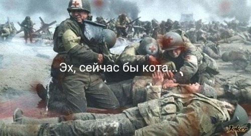 Солянка от 17.12.2021