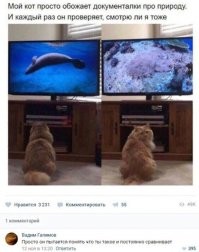 Заходи...Улыбнись...Рыбный день всё-таки