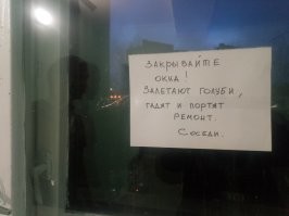 Подборка странных и забавных объявлений