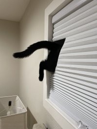 Застрял в текстурах