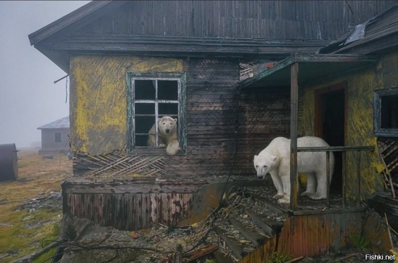 Солянка от 18.12.2021