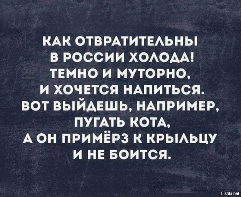 Солянка от 18.12.2021