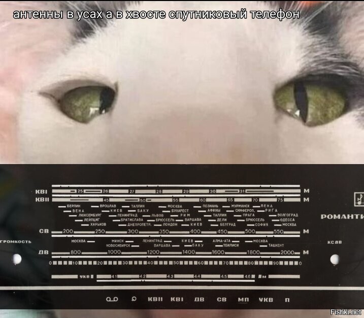 Солянка от 18.12.2021