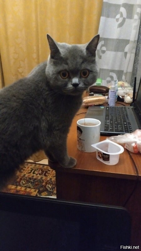 Солянка от 18.12.2021