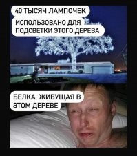 Между этим деревом, и подсветкой современных жилых кварталов ночью можно ставить знак равенства. 
Бестолковейшее использование энергетических ресурсов