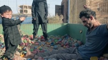 этих зверьков надо было там и оставить, у нас их и так с перебором