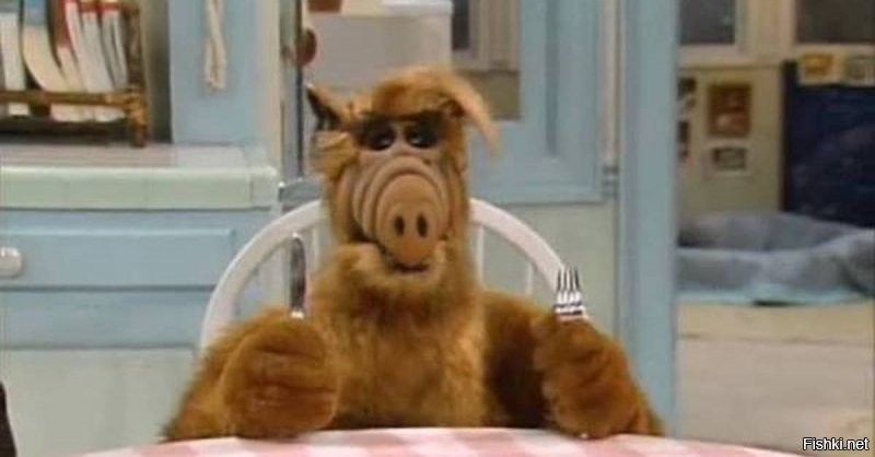 Солянка от 18.12.2021