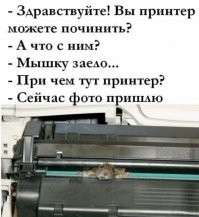 Будни техподдержки: забавные случаи из практики