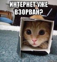 Пенсионер честно оценил шторы в своем новом доме