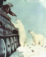 Ага,"солдаты" нарядились в гражданскую одежду и сели на гусеничный вездеход.