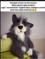 На луг она ходила, траву ж.. кушать. Не будет травы  - не будет молока...