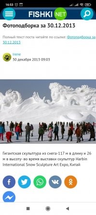 15 поразительных фотографий увлекательных диковинок