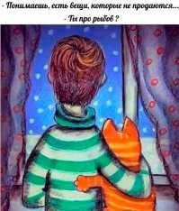 Кот, работающий продавцом «рыбов», покорил интернет