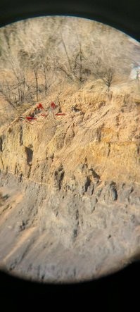 Зё за фигню вы постите?
Самая верхнее фото...
Типа собачка 0.5 метра преодолеть не может???
Что за ДЕШЁВЫЙ набор лайков или чего там....
ДЕБИЛЫ....