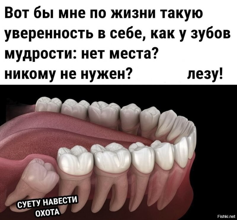 Солянка от 19.12.2021