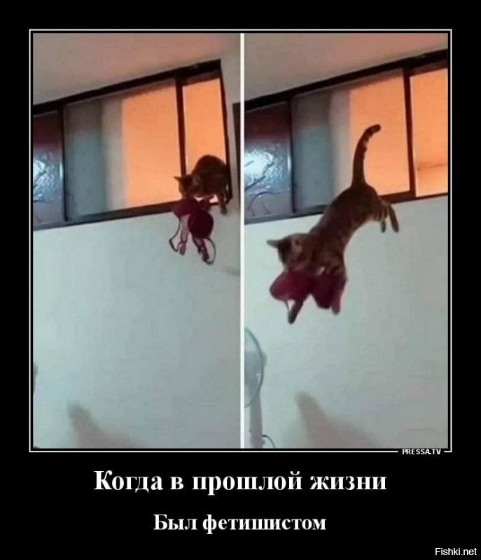 Доброе утро