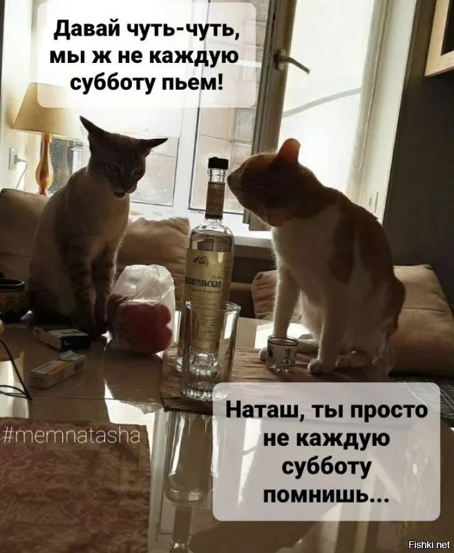 Солянка от 19.12.2021