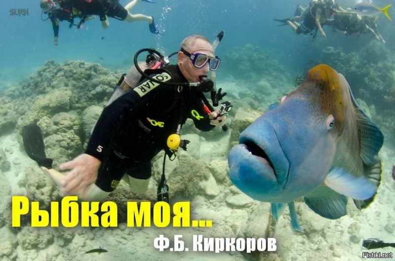 Солянка от 19.12.2021