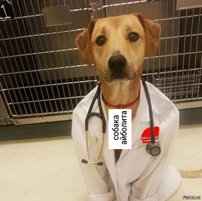 Солянка от 19.12.2021