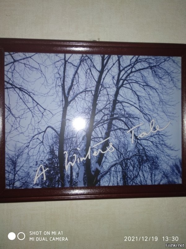 Дык в Фотошопе таких можно распечатать