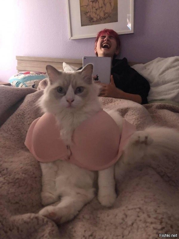 Доброе утро