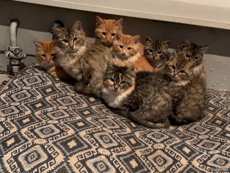 С добрым воскресным утром