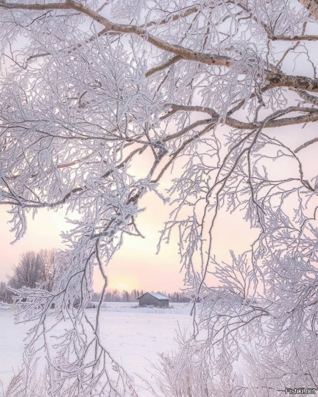 Солянка от 19.12.2021