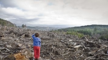 Лысеющие горы.