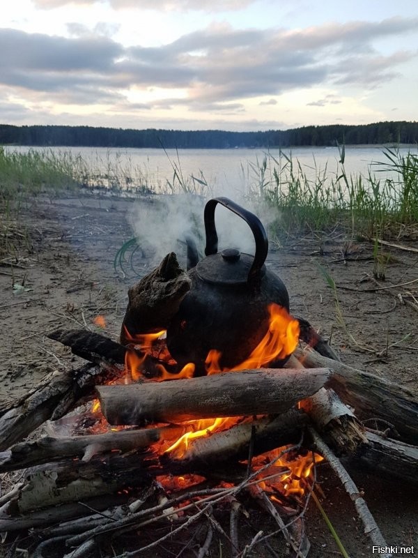 Солянка от 19.12.2021