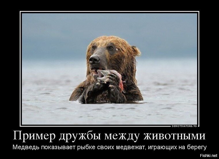 Солянка от 19.12.2021