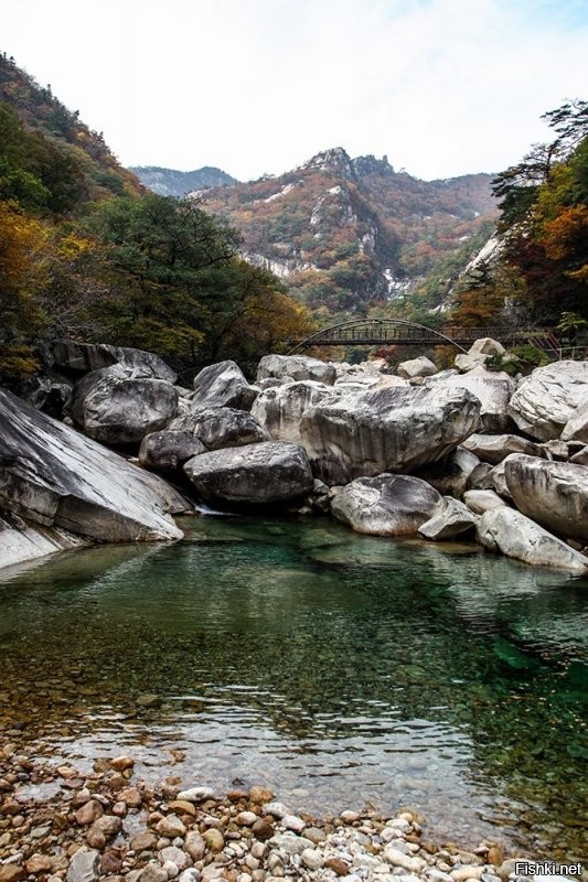 Солянка от 19.12.2021