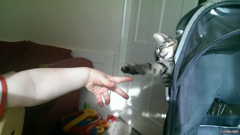 Солянка от 19.12.2021