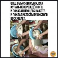 так не бывает, -это муляж