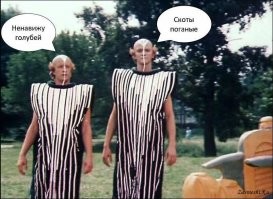 27 любопытных фото, которыми поделились пользователи сети