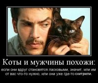 Картинки в чёрно-белых тонах. Выпуск 66