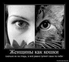 Картинки в чёрно-белых тонах. Выпуск 66