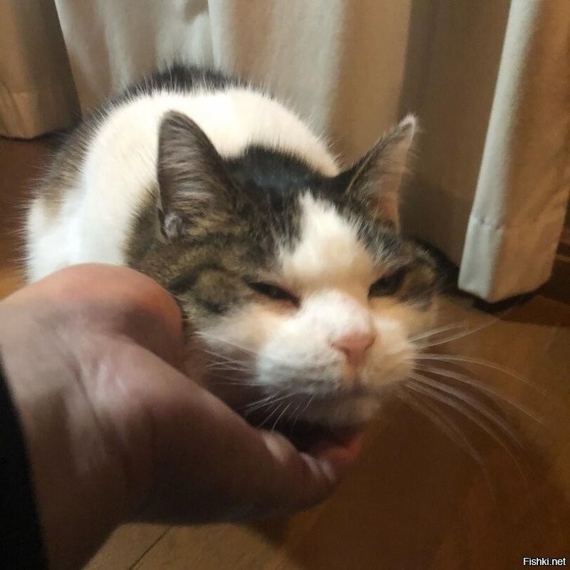 А это чейный, не твой ? А у нас тут спор вышел...