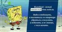 С утра выпил - весь день свободен.