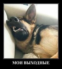 Самый правдивый и апатичный пост о выходных