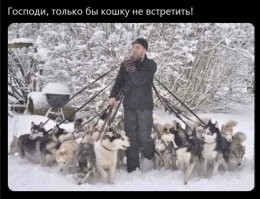 разве это чёрно-белая?