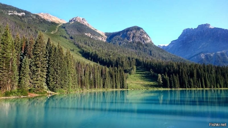 Солянка от 20.12.2021