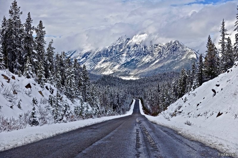 Солянка от 20.12.2021