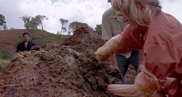 Коротко о тесте ...