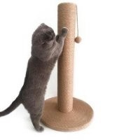 Бедненькая хозяйка, такую приблуду не может котику купить!